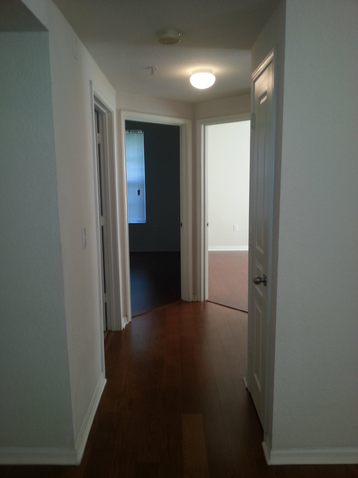 Beautiful 3/2 Condo In Oxford Place, Tampa Palms MUST SEE!! property image