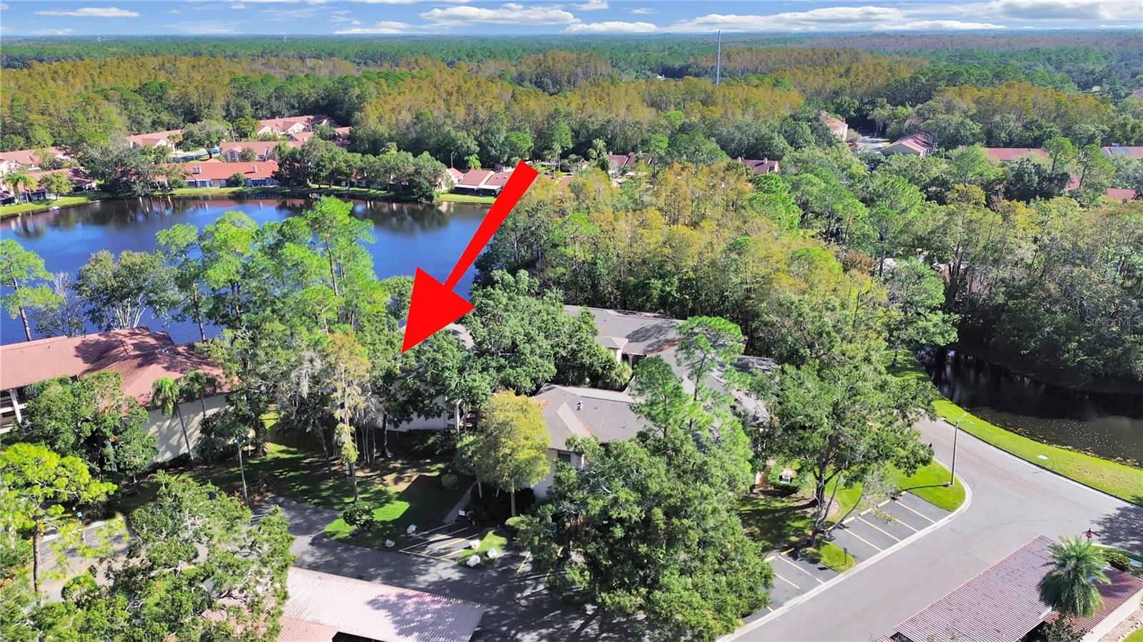 Palm Harbor 2/2 Pool & Sports Courts property image