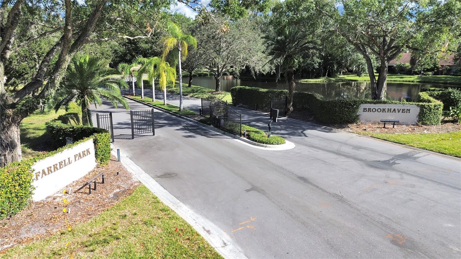 Palm Harbor 2/2 Pool & Sports Courts property image