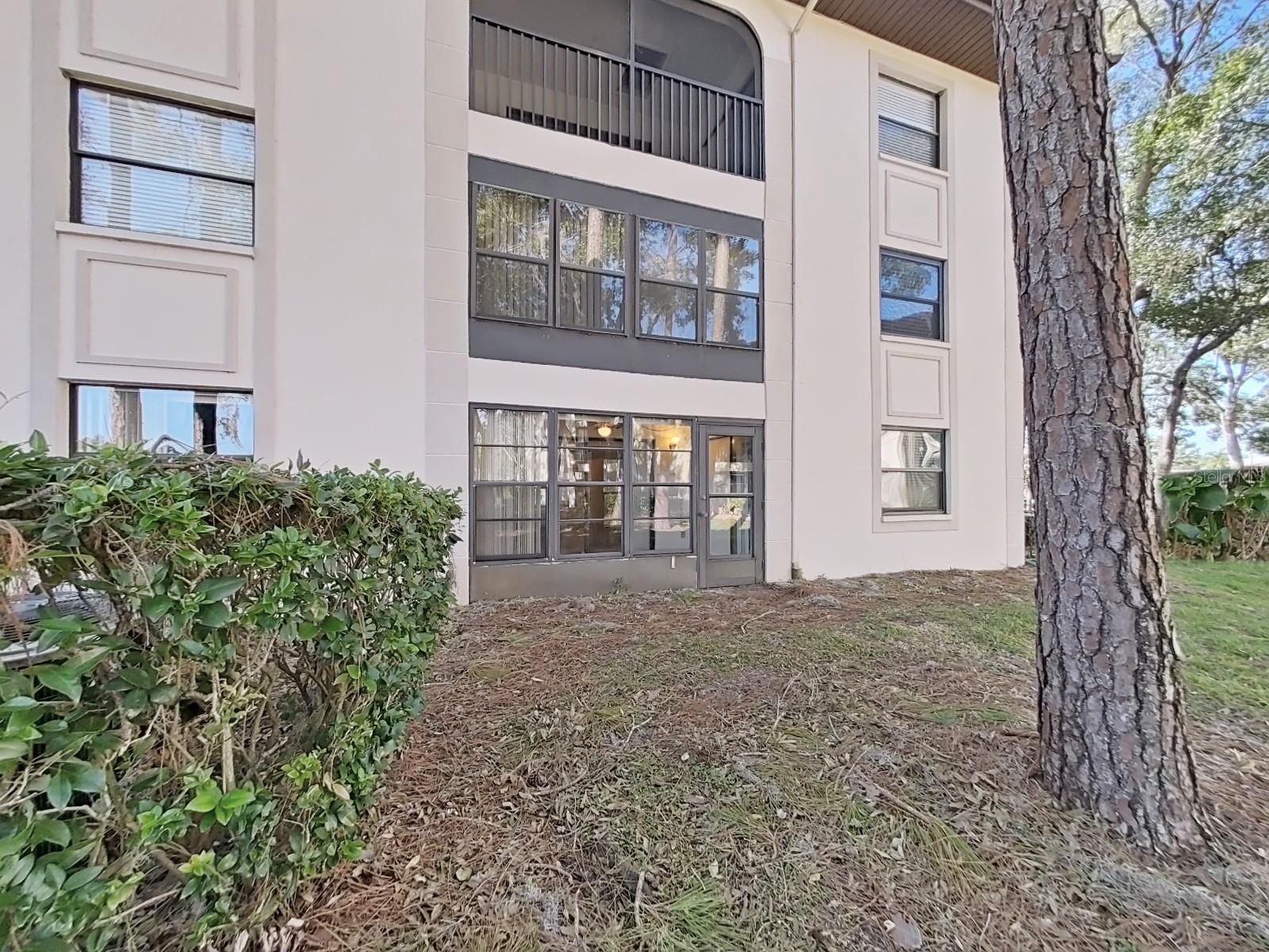 Palm Harbor 2/2 Pool & Sports Courts property image