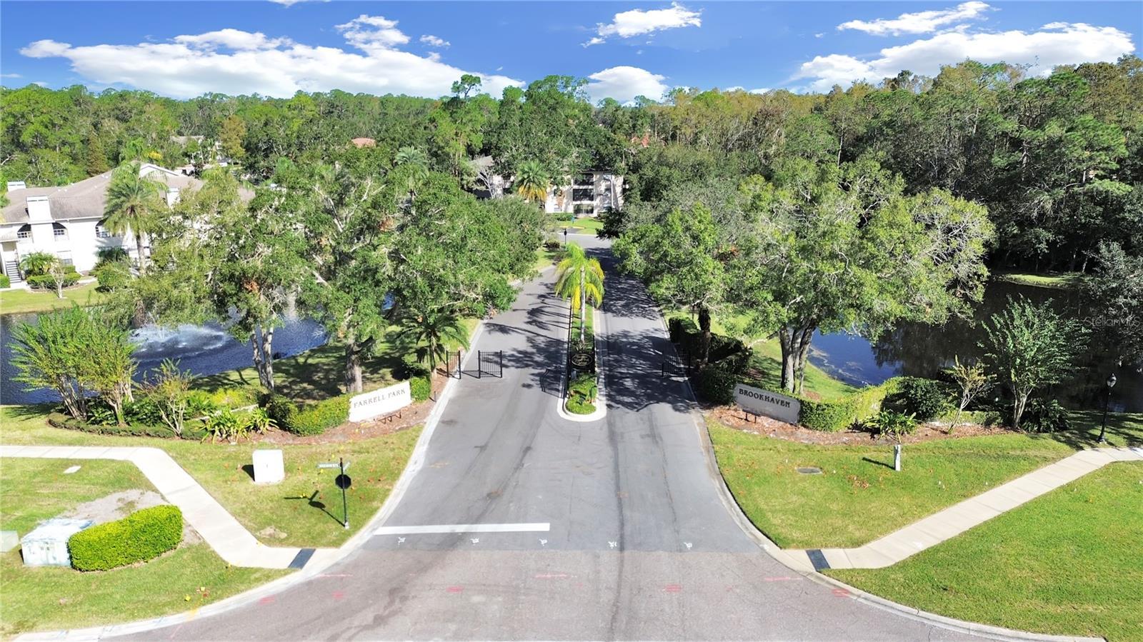 Palm Harbor 2/2 Pool & Sports Courts property image