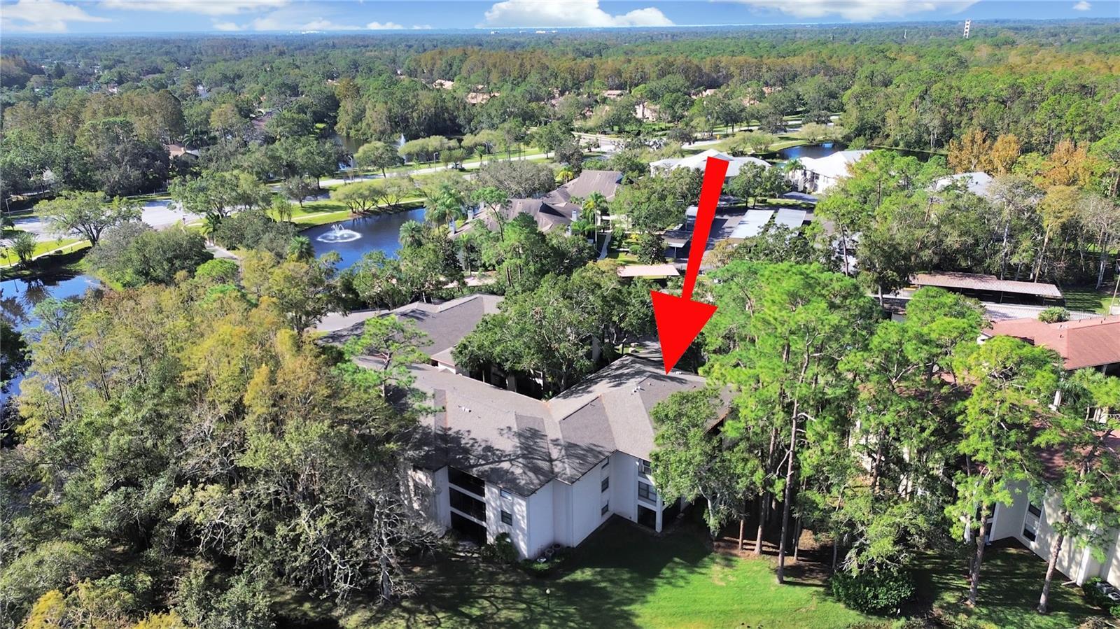 Palm Harbor 2/2 Pool & Sports Courts property image