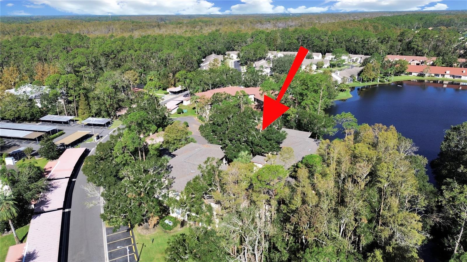 Palm Harbor 2/2 Pool & Sports Courts property image