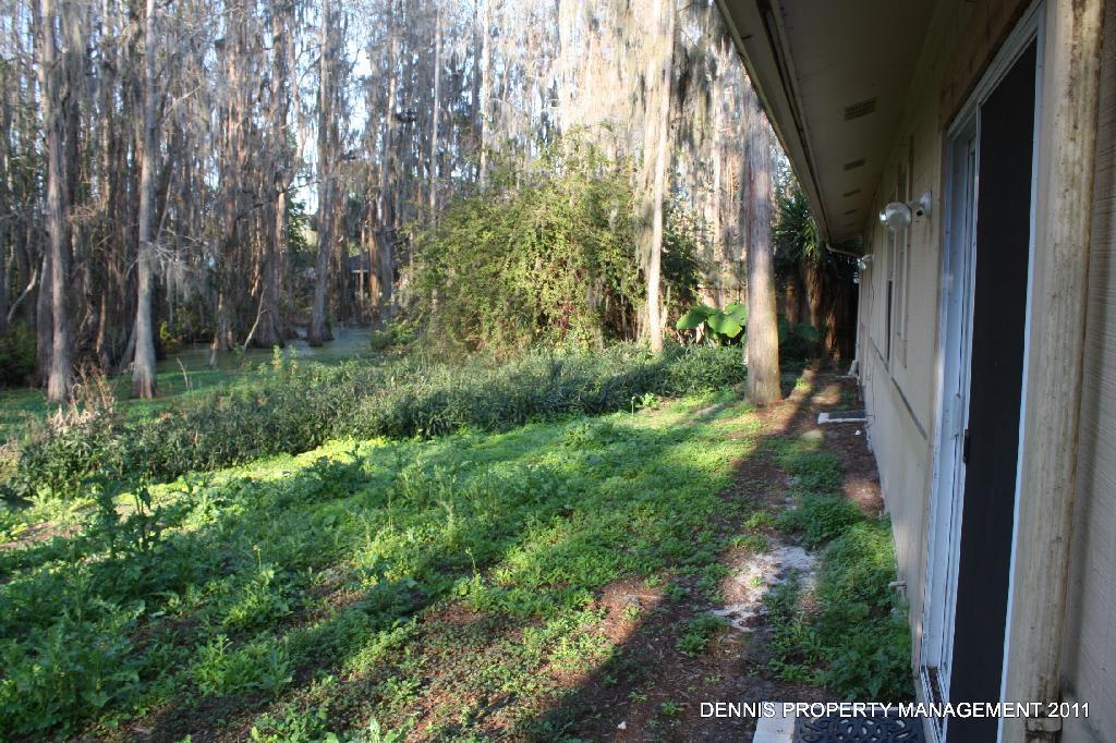 1211 Foxwood Drive, Lutz, Three Bedroom Home, Cute House property image