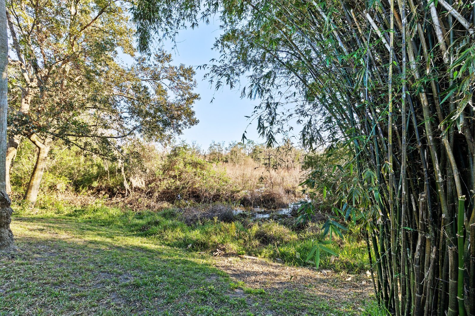 Stunning 4 Bed 3 Bath 3 Car Garage POOL Home Available For RENT property image