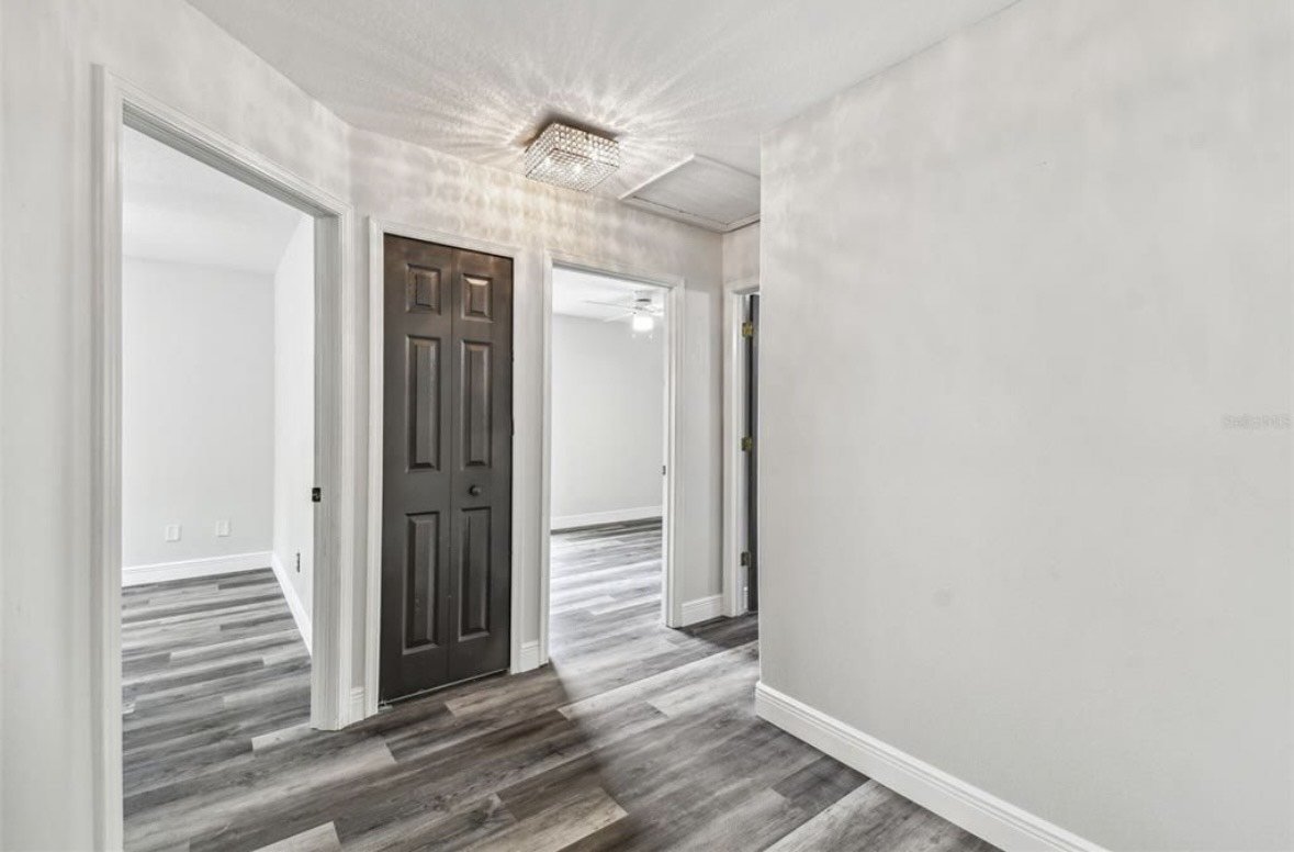 Gorgeous! Tampa Palms 4/3.5/2 Pool Home. property image