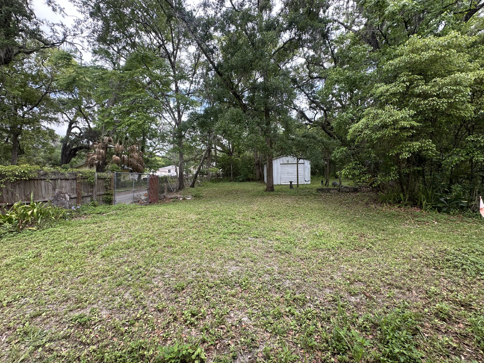 Cute 3/1.5 With Large Open Yard property image