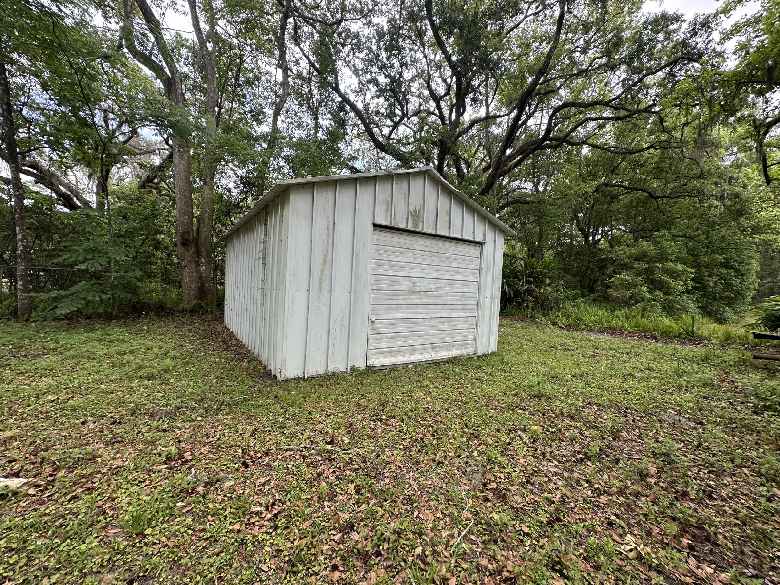 Cute 3/1.5 With Large Open Yard property image