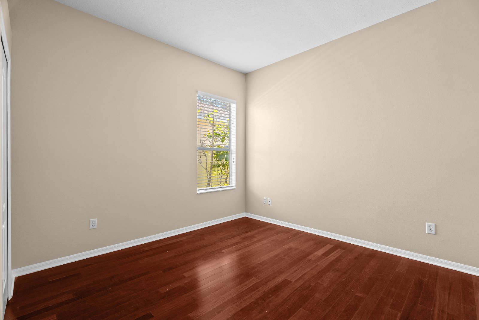 4 Bedroom 2 Bath Home In Lutz property image