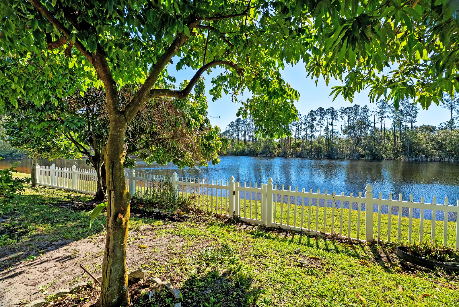 4 Bedroom 2 Bath Home In Lutz property image