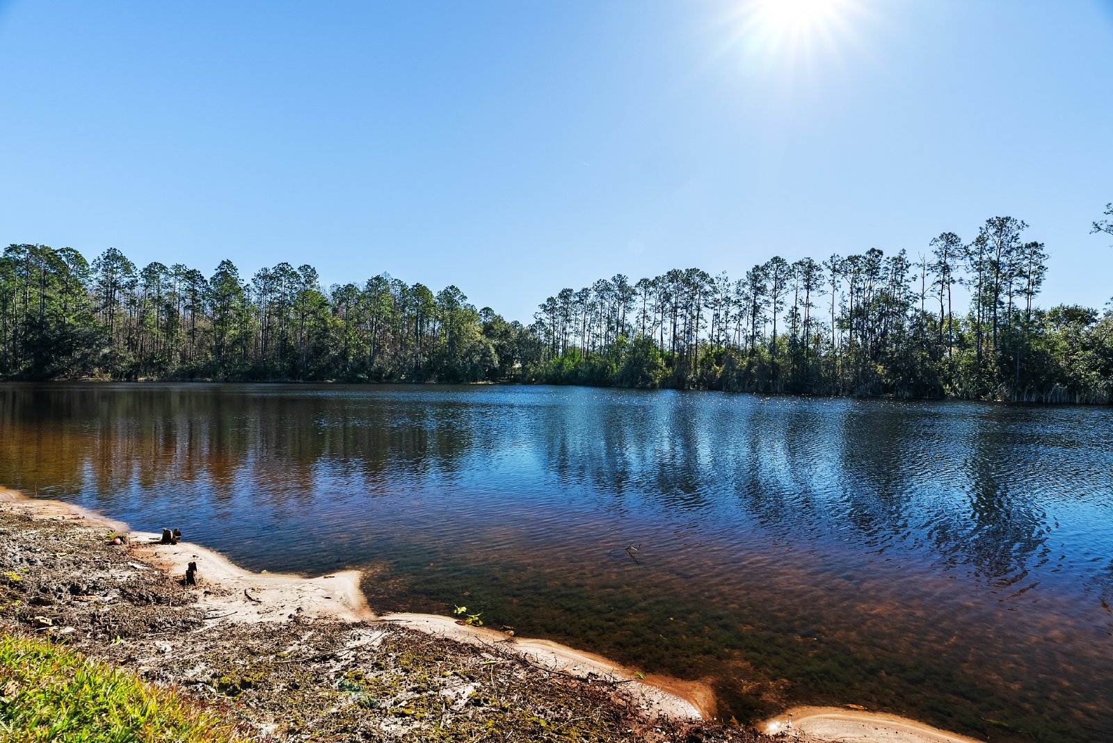 4 Bedroom 2 Bath Home In Lutz property image