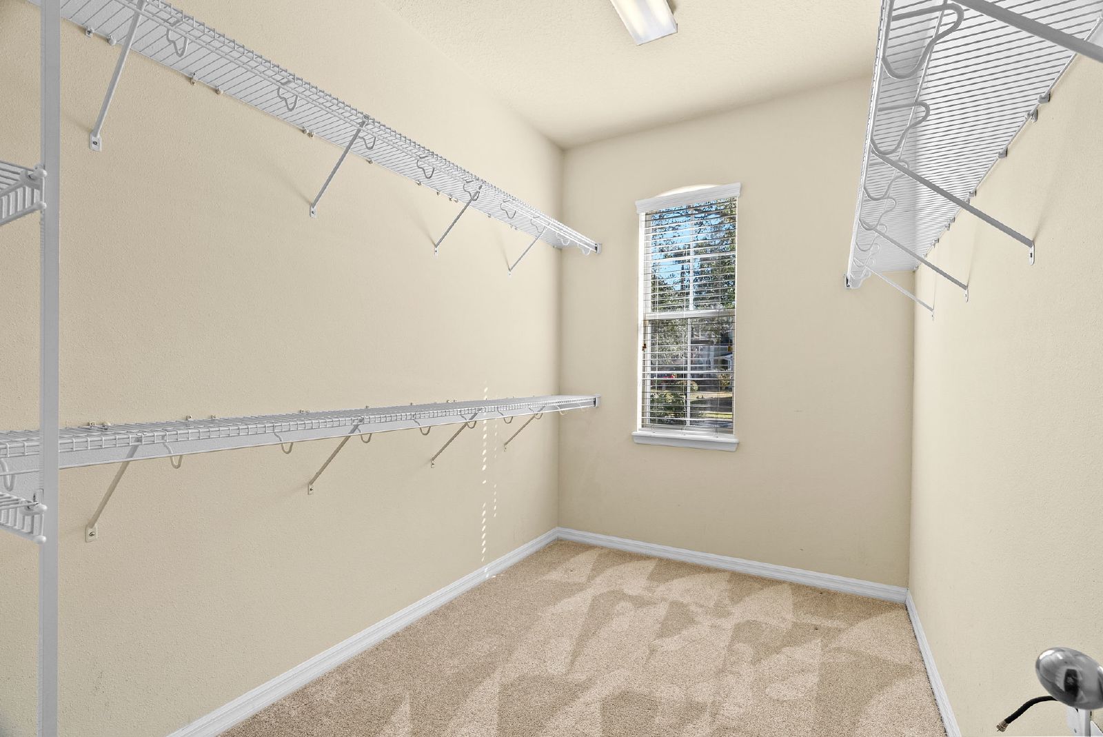 4 Bedroom 3 1/2 Bath 3 Car Garage Home In Buckingham At Tampa Palms property image