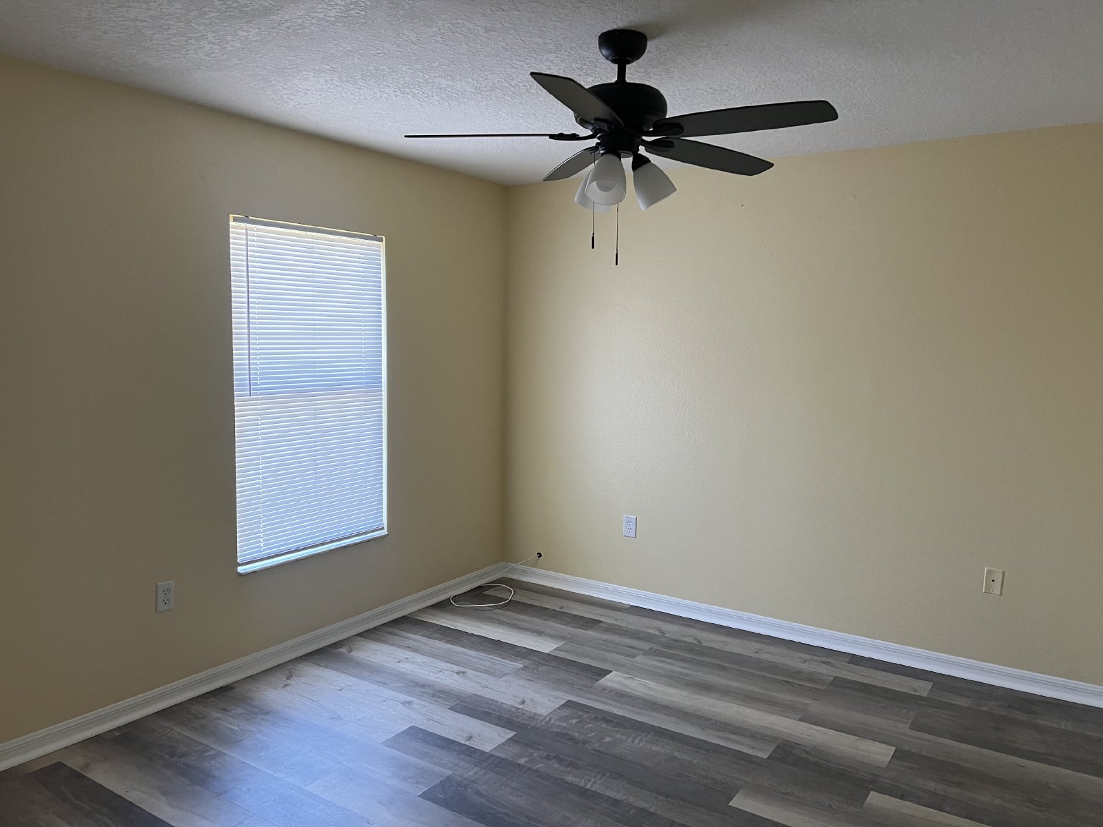 Beautifully Remodeled 3/2 In Spring Hill property image