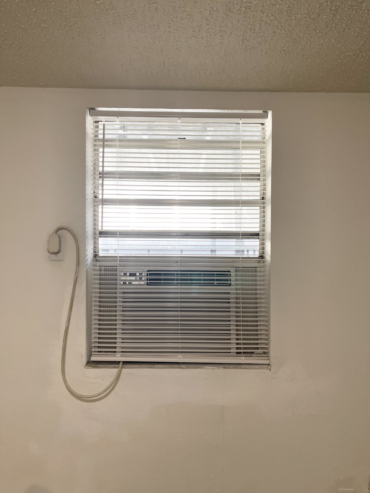 1 Bed / 1 Bath Apartment in Ybor City property image