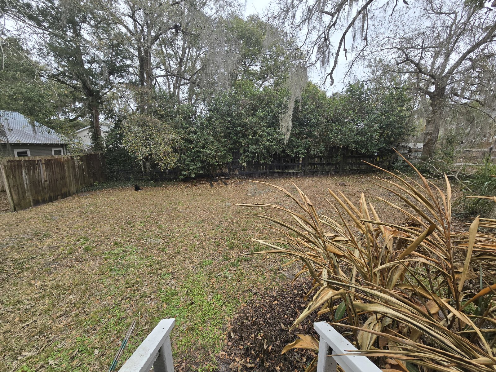 Cute Renovated 2/1 1930s Home property image