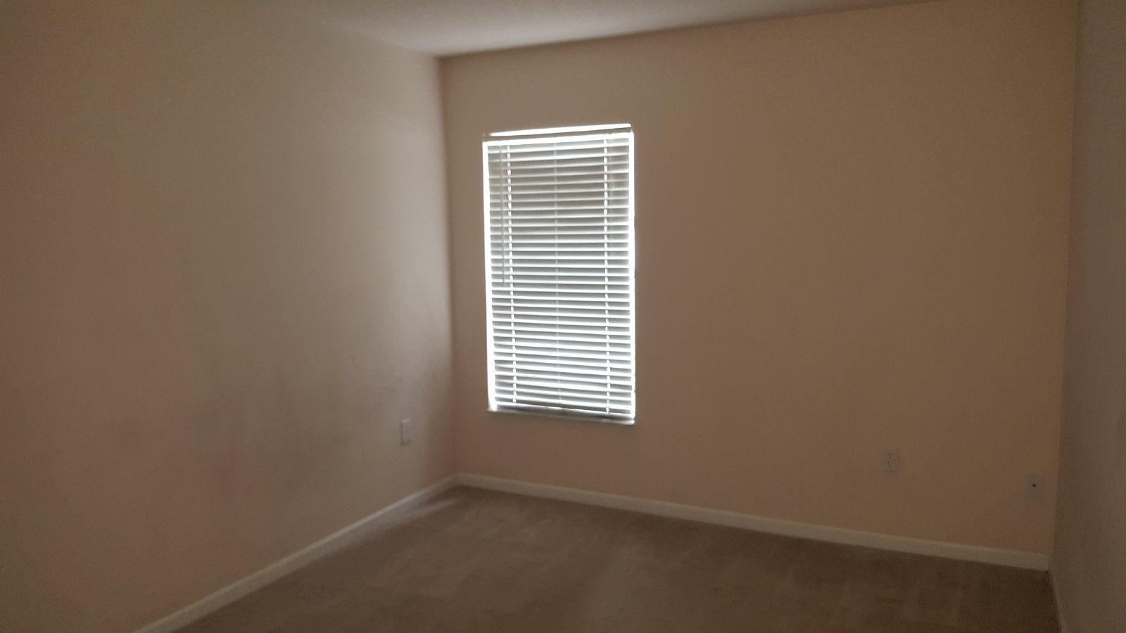 Beautiful 3 Bedroom Home In Palm Cove property image