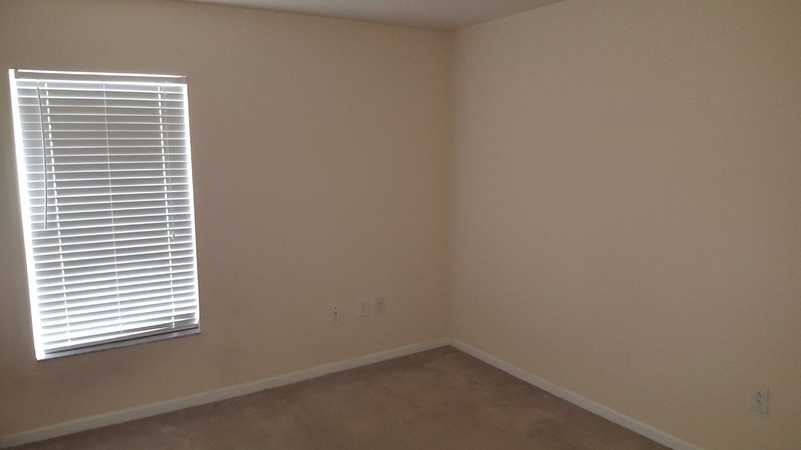 Beautiful 3 Bedroom Home In Palm Cove property image