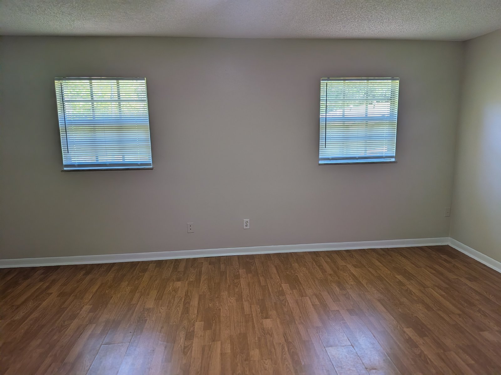 Large One Bedroom One Bathroom In Brooksville property image