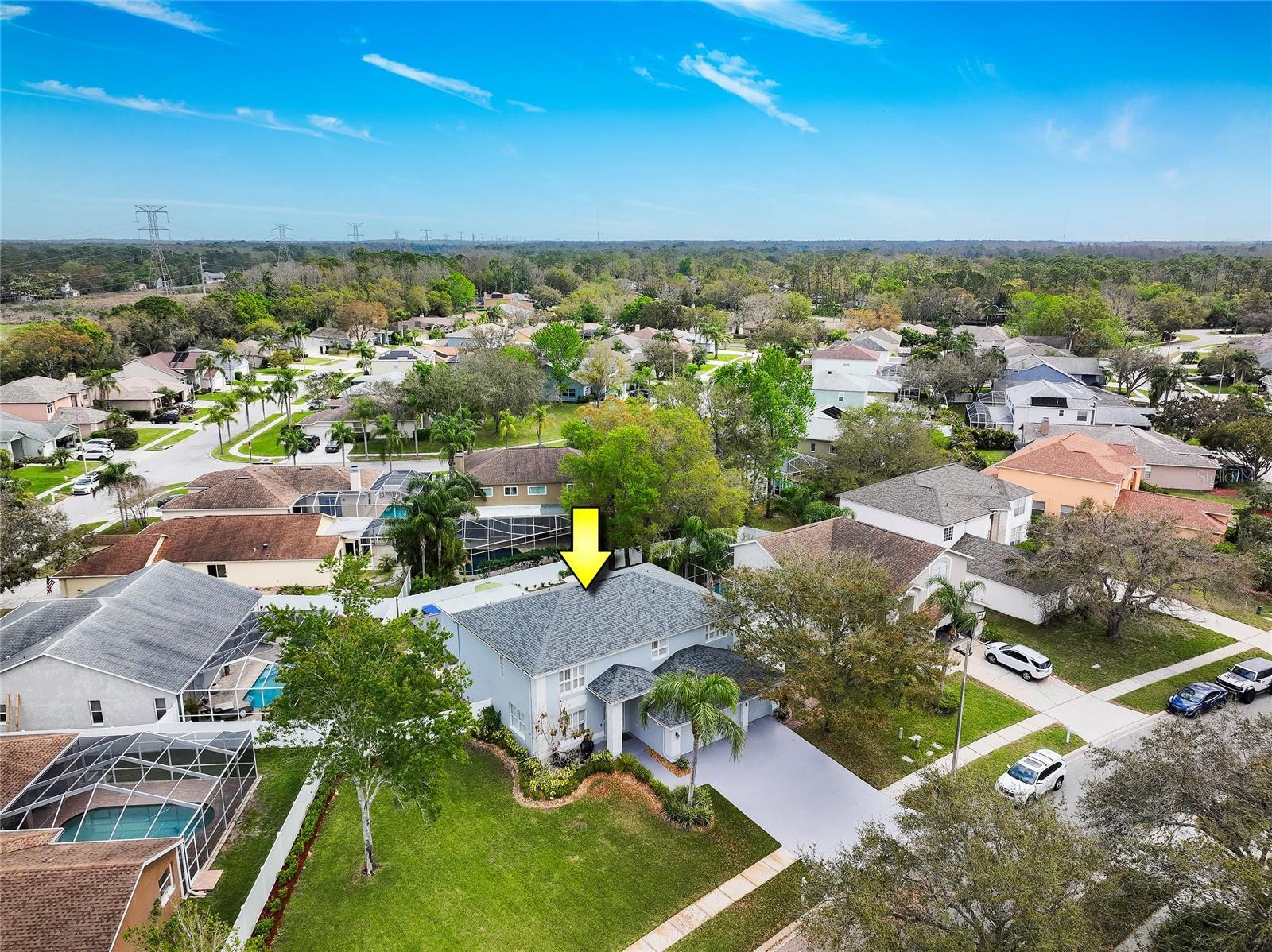 Luxury Living In East Lake Woodlands Updated Pool Home property image
