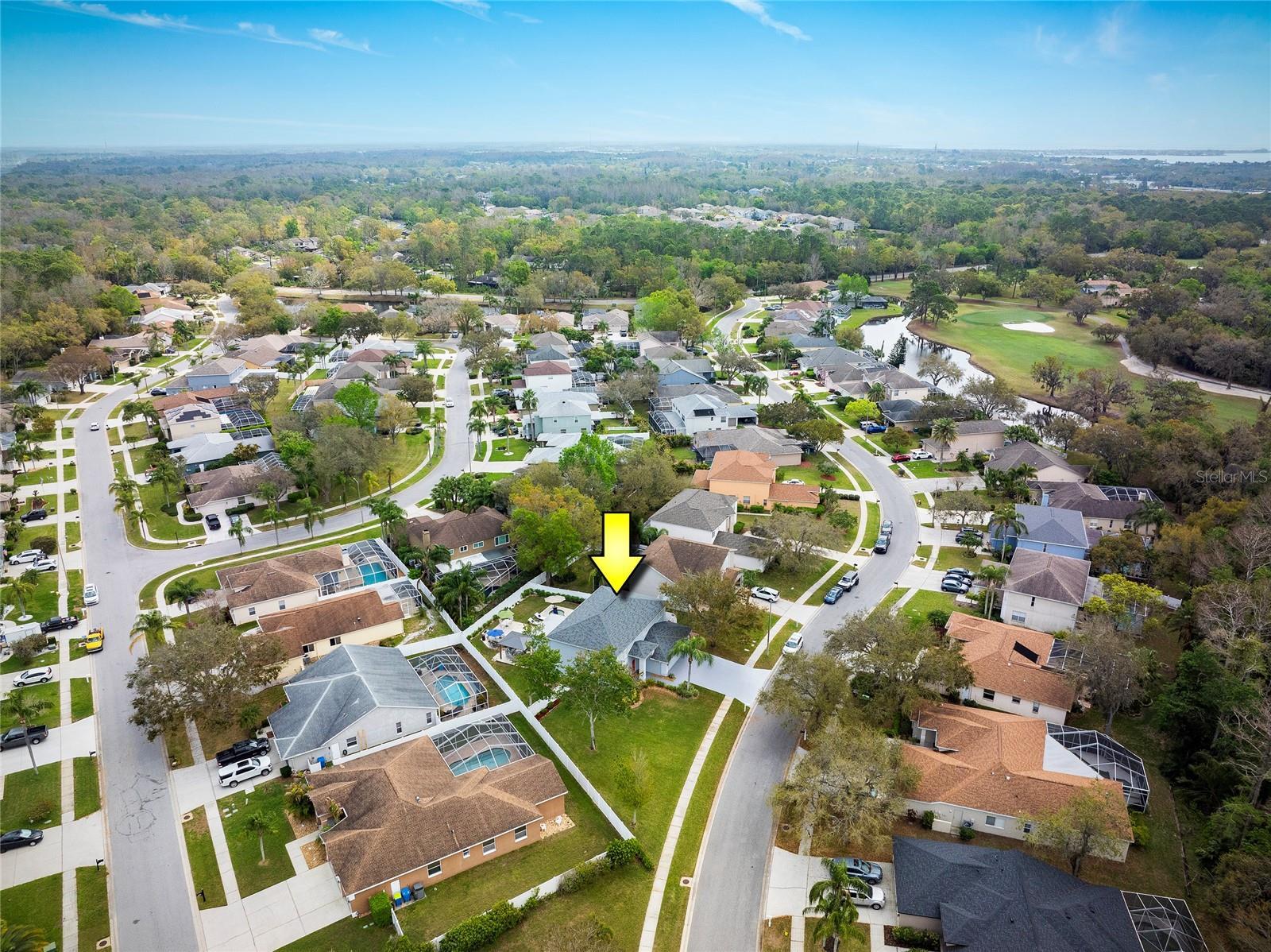 Luxury Living In East Lake Woodlands Updated Pool Home property image