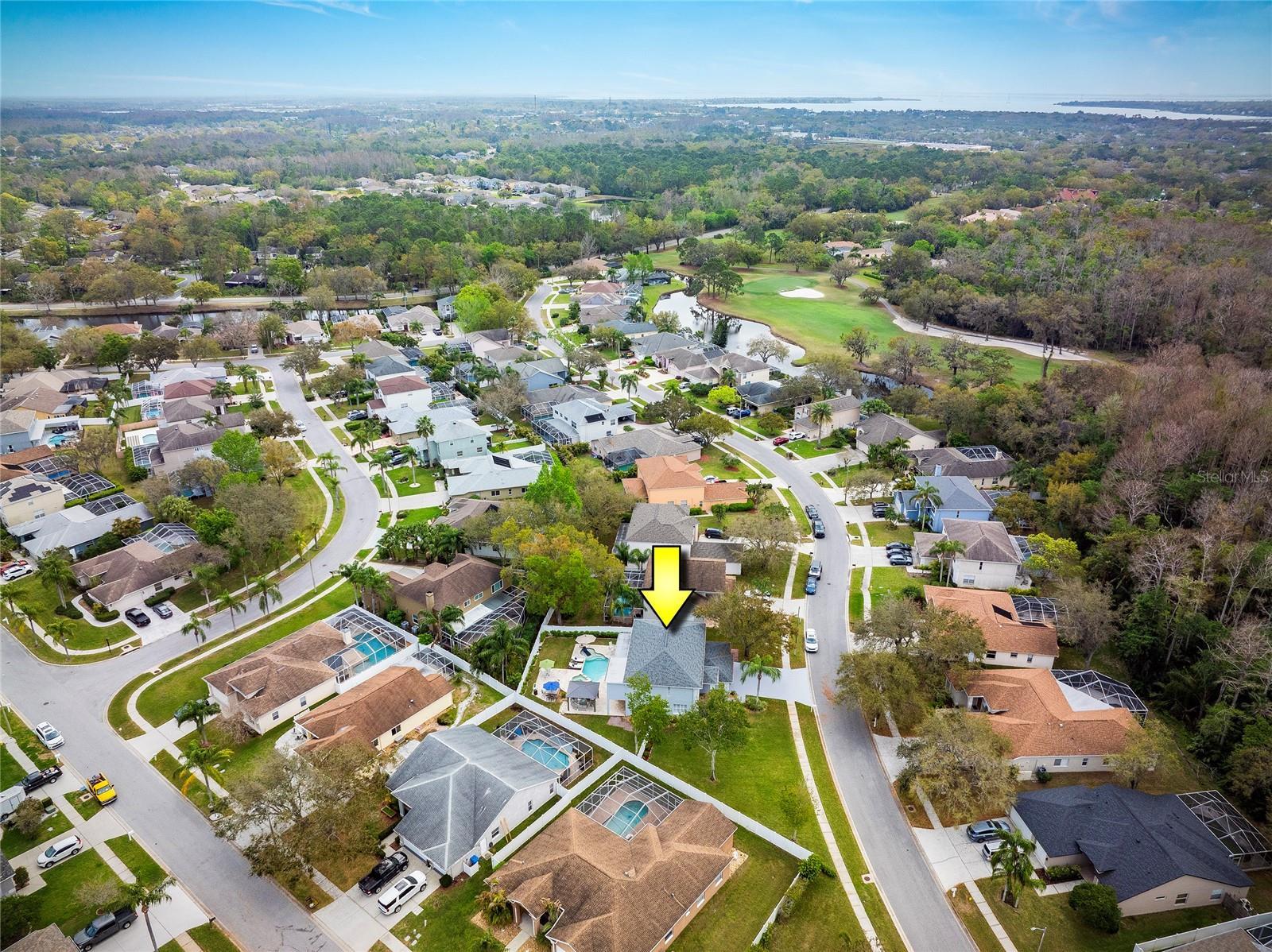 Luxury Living In East Lake Woodlands Updated Pool Home property image