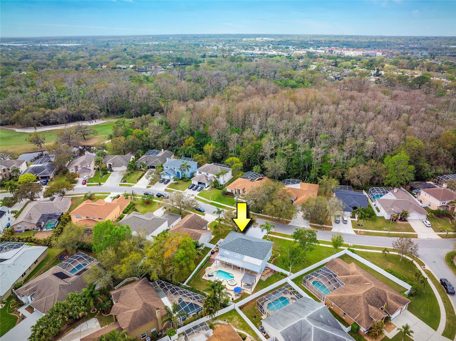 Luxury Living In East Lake Woodlands Updated Pool Home property image