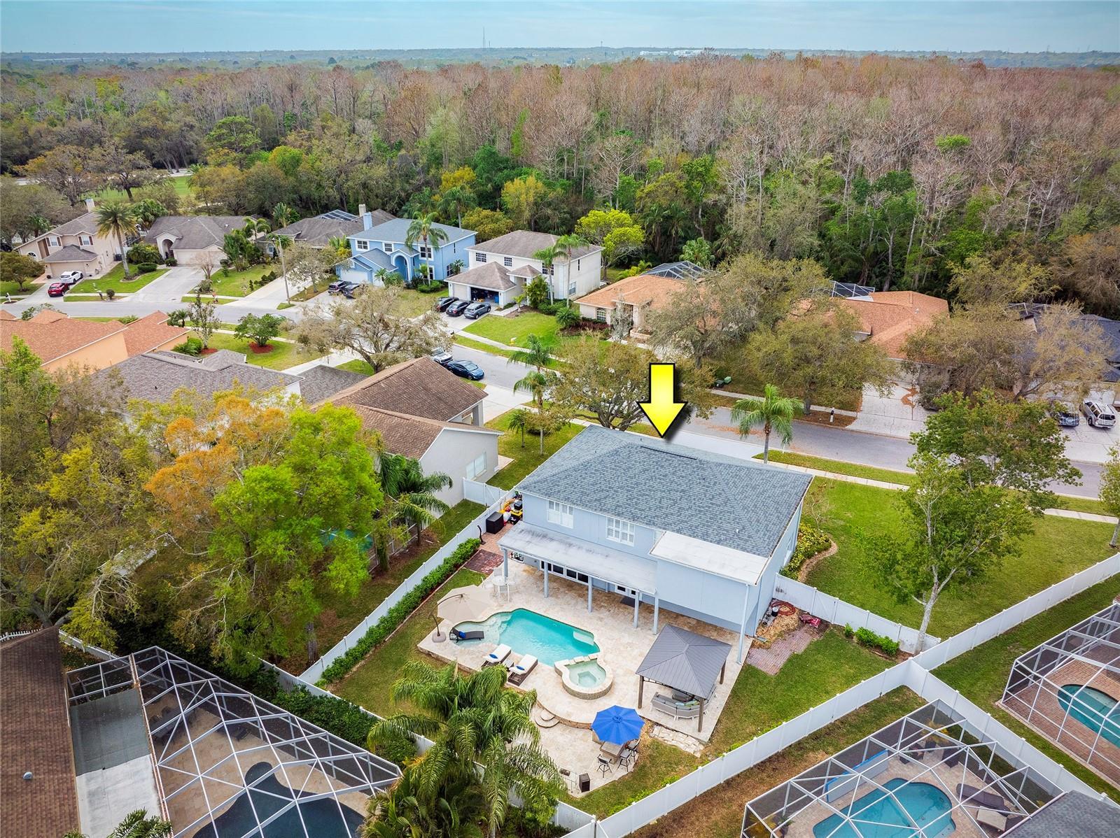 Luxury Living In East Lake Woodlands Updated Pool Home property image