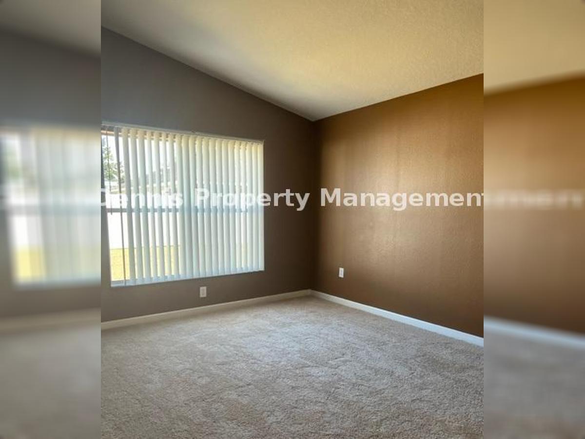 4/2 Gorgeous Home In Palm Cove! property image