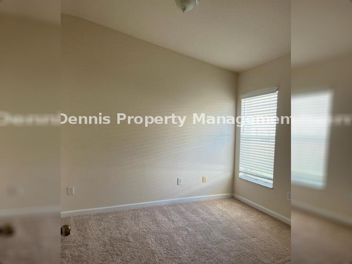 4/2 Gorgeous Home In Palm Cove! property image