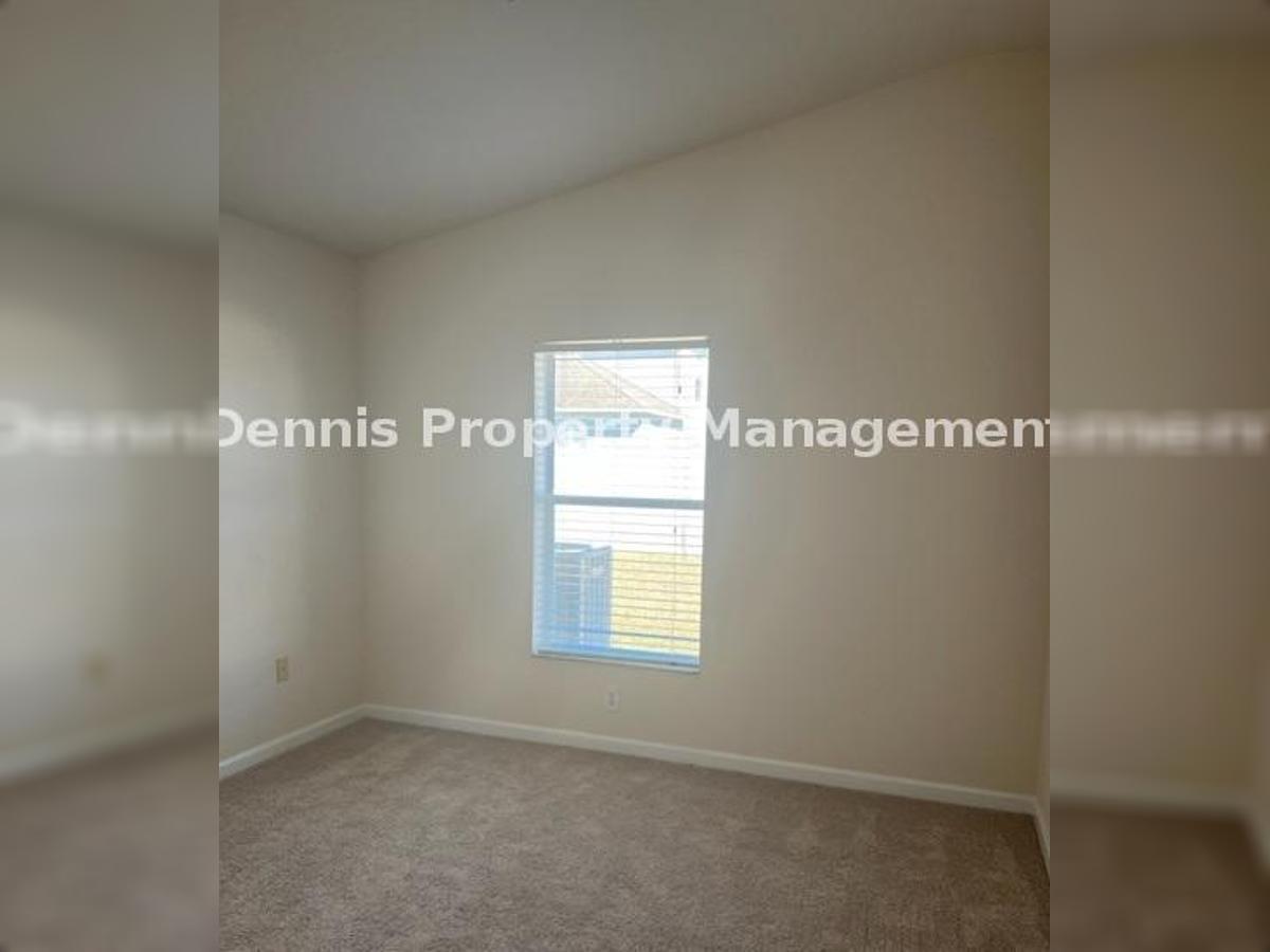 4/2 Gorgeous Home In Palm Cove! property image