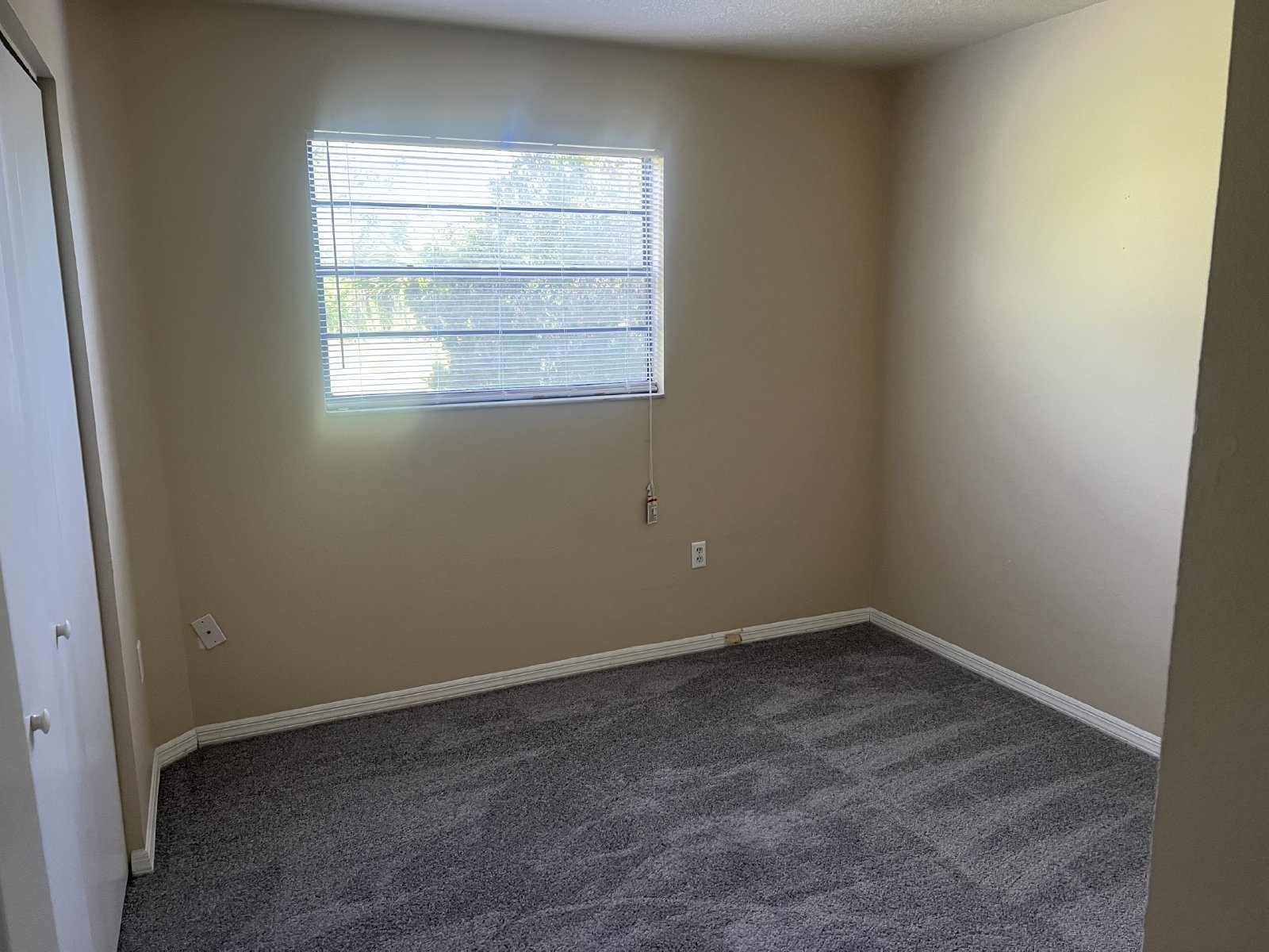 Must See 2/2/1 In Spring Hill! property image