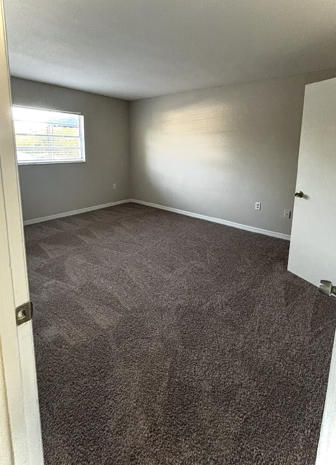 Upscale 2 bed 1 bath condo in St.Pete! property image