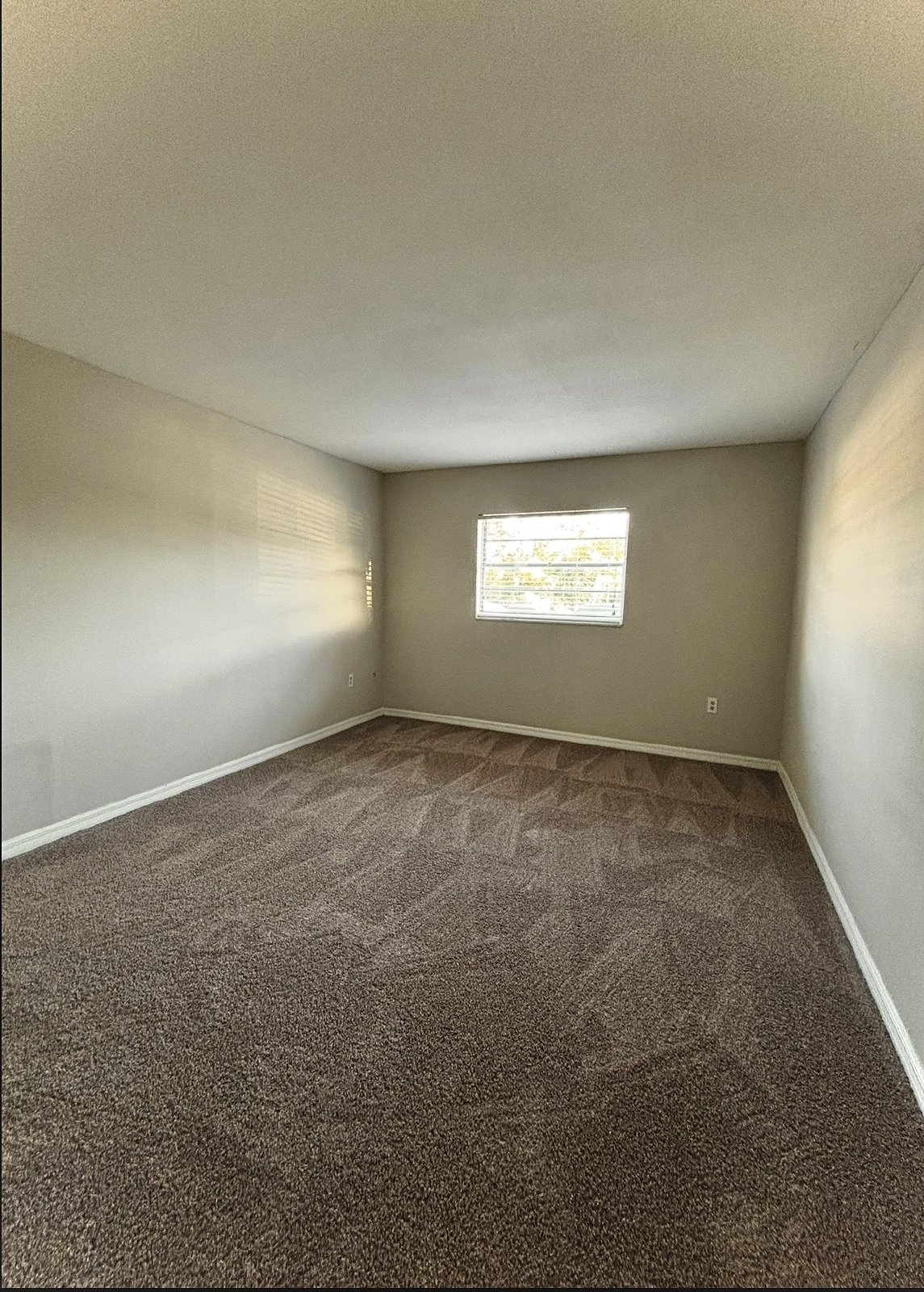 Upscale 2 bed 1 bath condo in St.Pete! property image