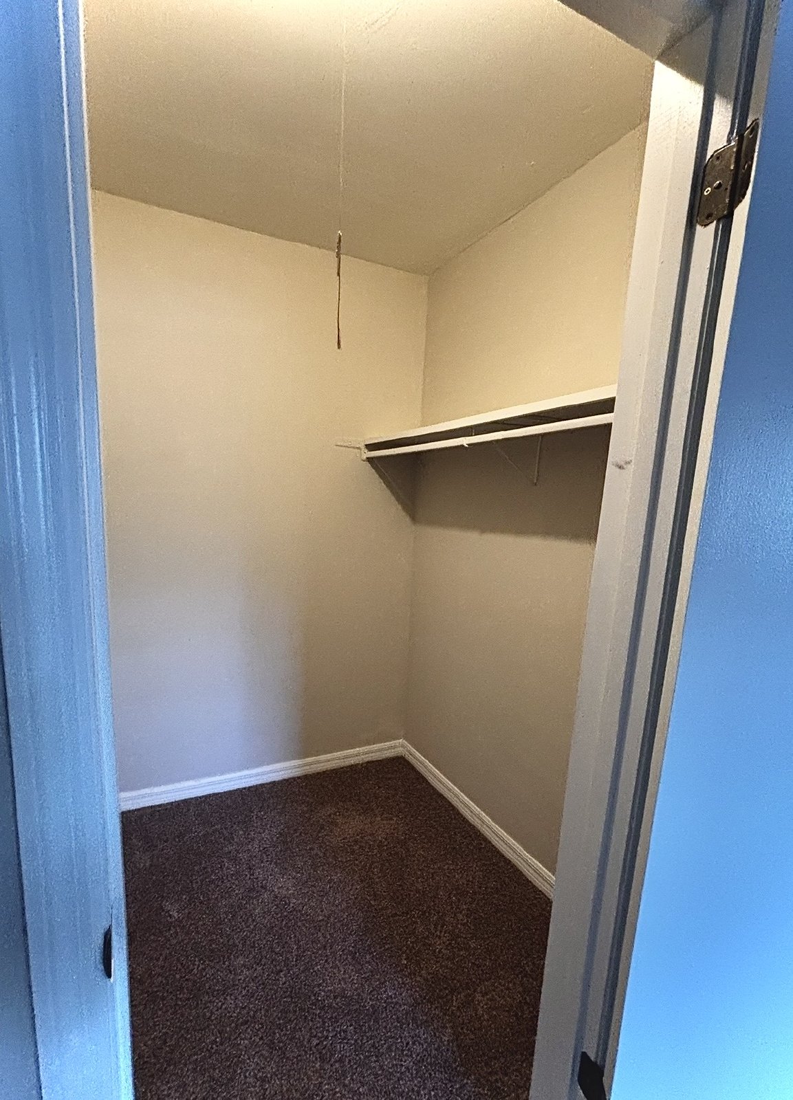 Upscale 2 bed 1 bath condo in St.Pete! property image