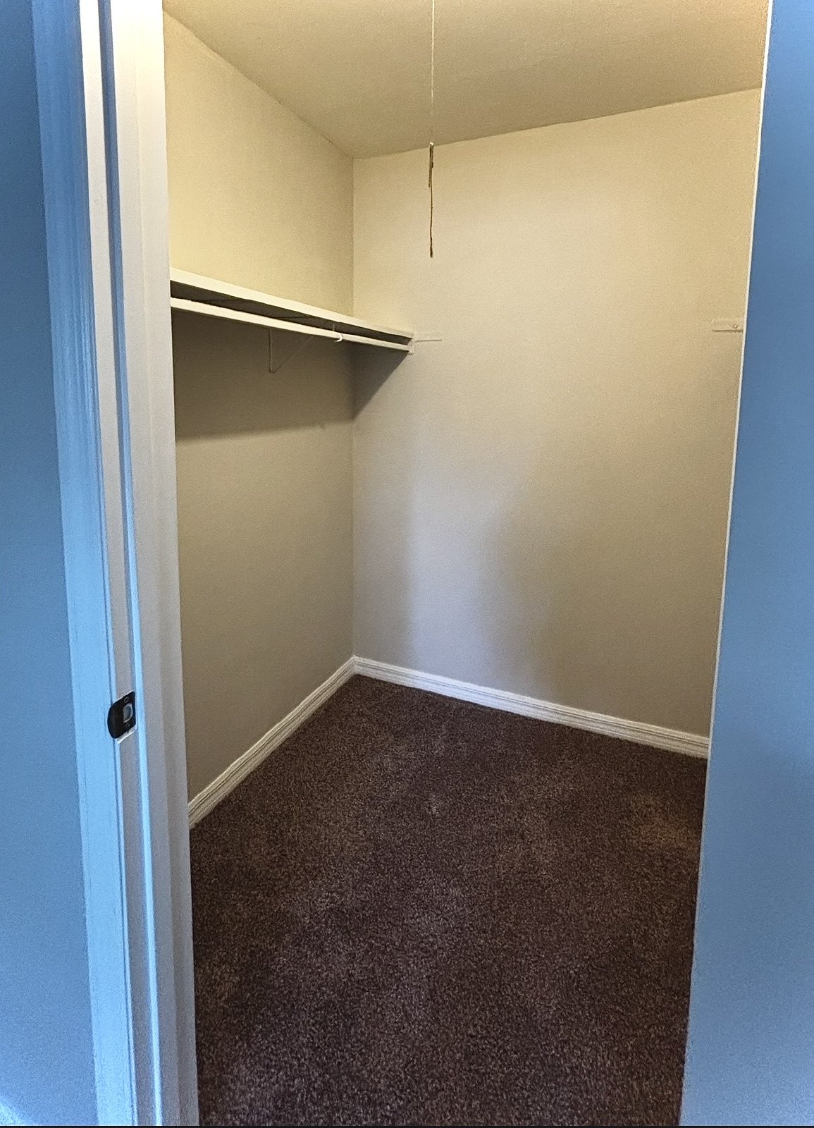 Upscale 2 bed 1 bath condo in St.Pete! property image