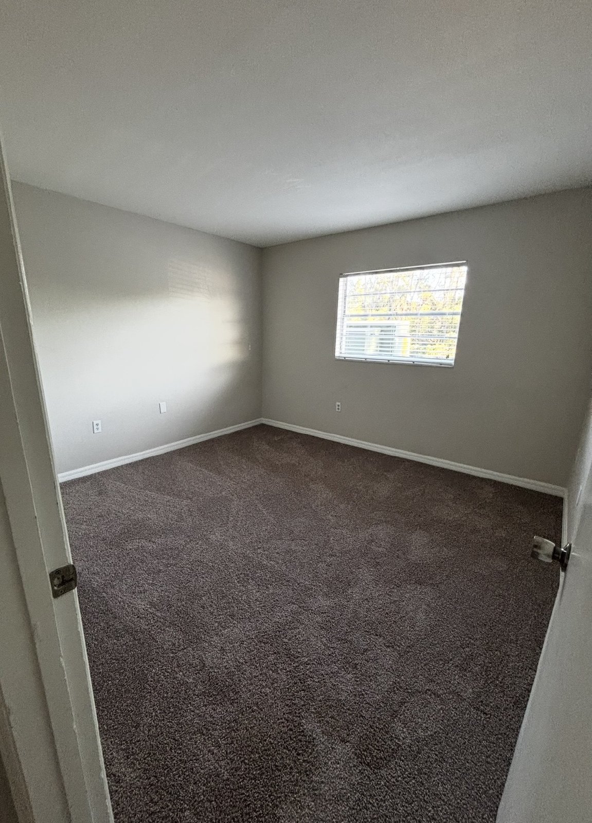 Upscale 2 bed 1 bath condo in St.Pete! property image