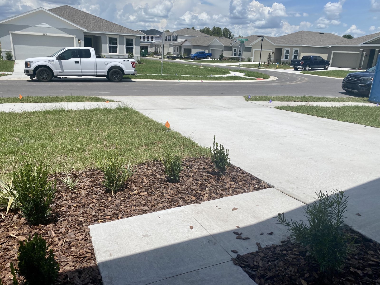 New Construction 4 Bed 2 Bath For Rent!!!!!! property image