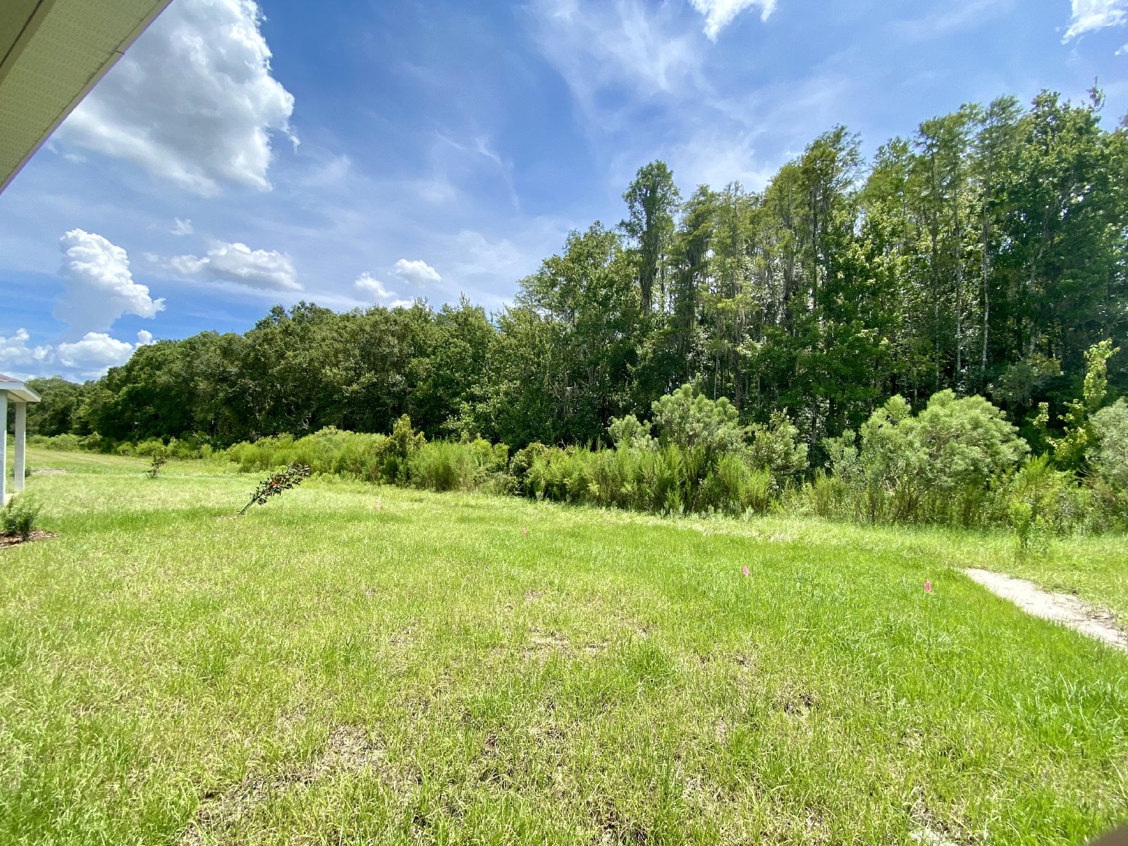 New Construction 4 Bed 2 Bath For Rent!!!!!! property image