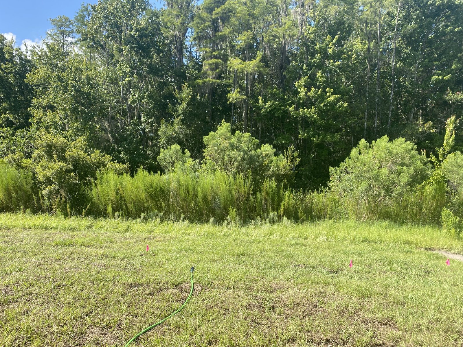 New Construction 4 Bed 2 Bath For Rent!!!!!! property image