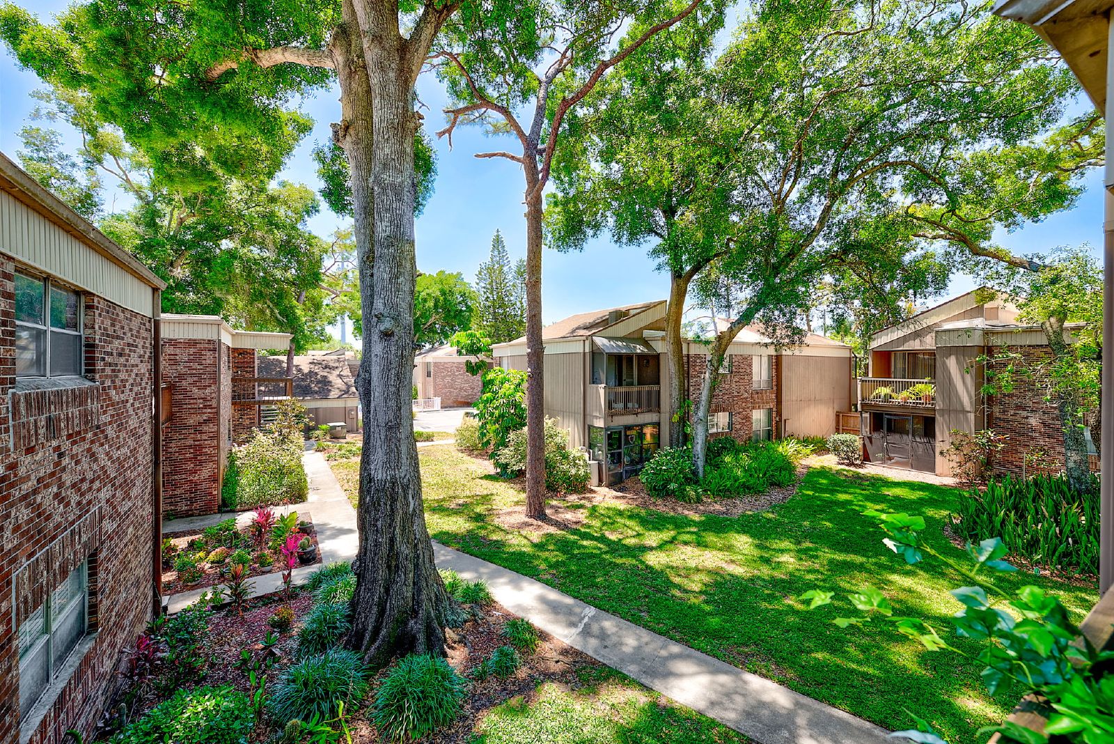 Cute Studio In The Heart Of Tampa! property image