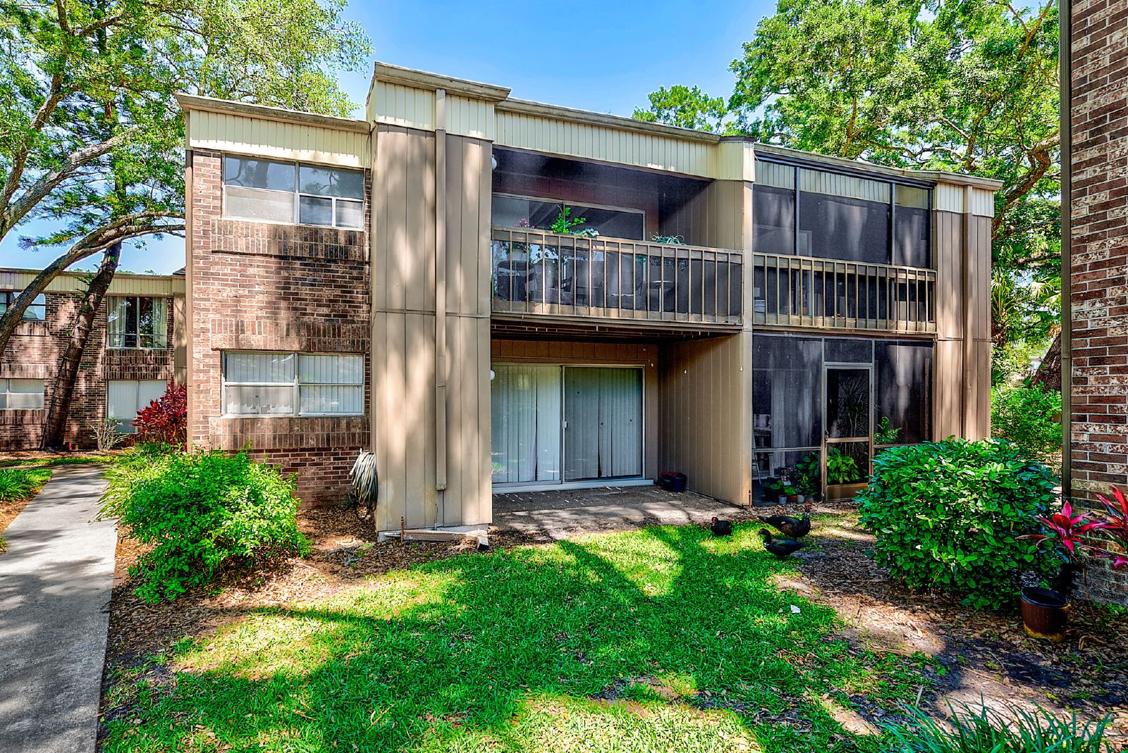 Cute Studio In The Heart Of Tampa! property image