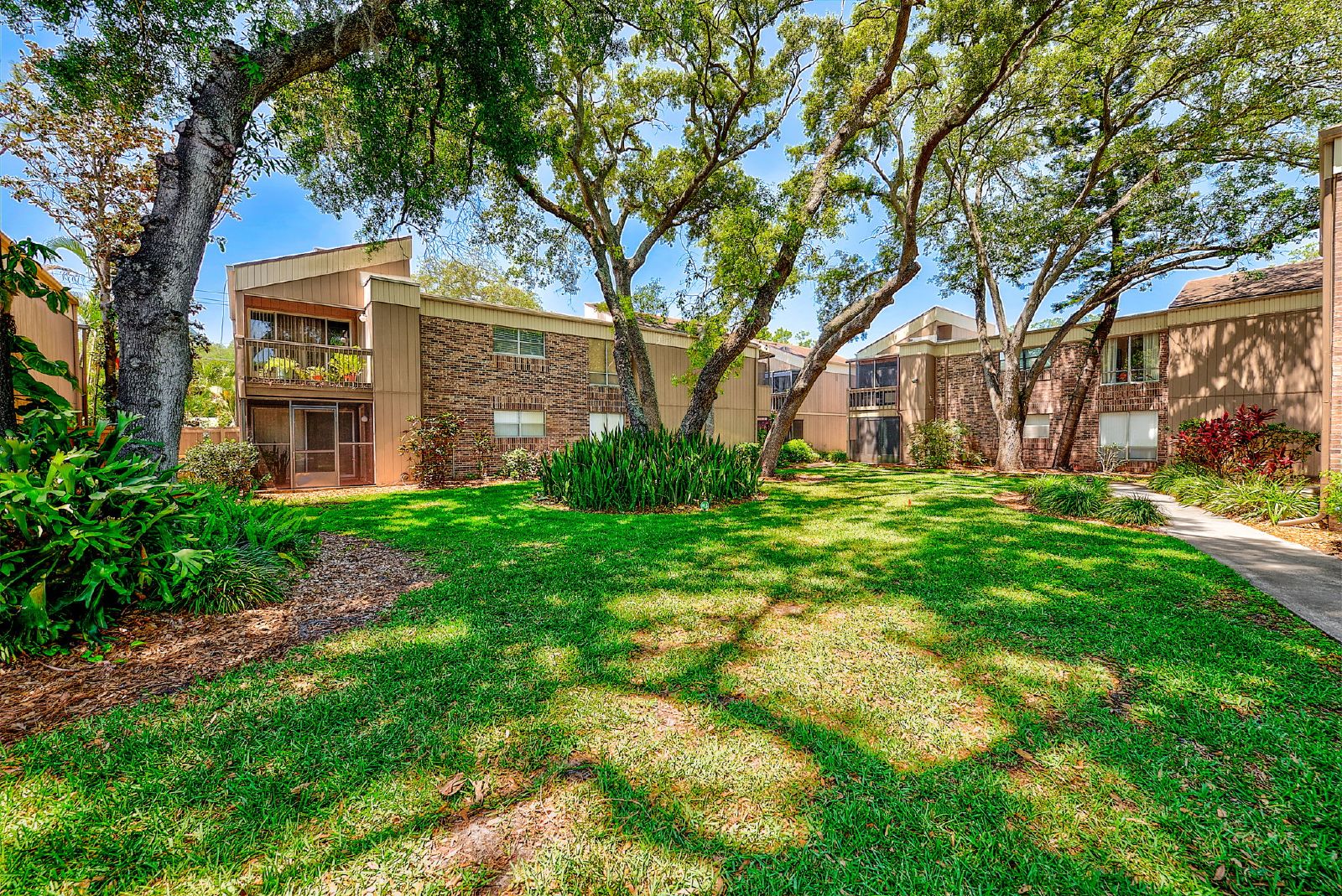 Cute Studio In The Heart Of Tampa! property image