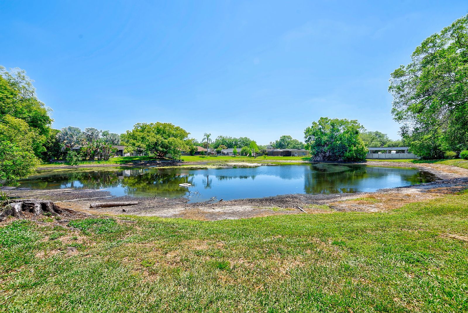 Cute Studio In The Heart Of Tampa! property image