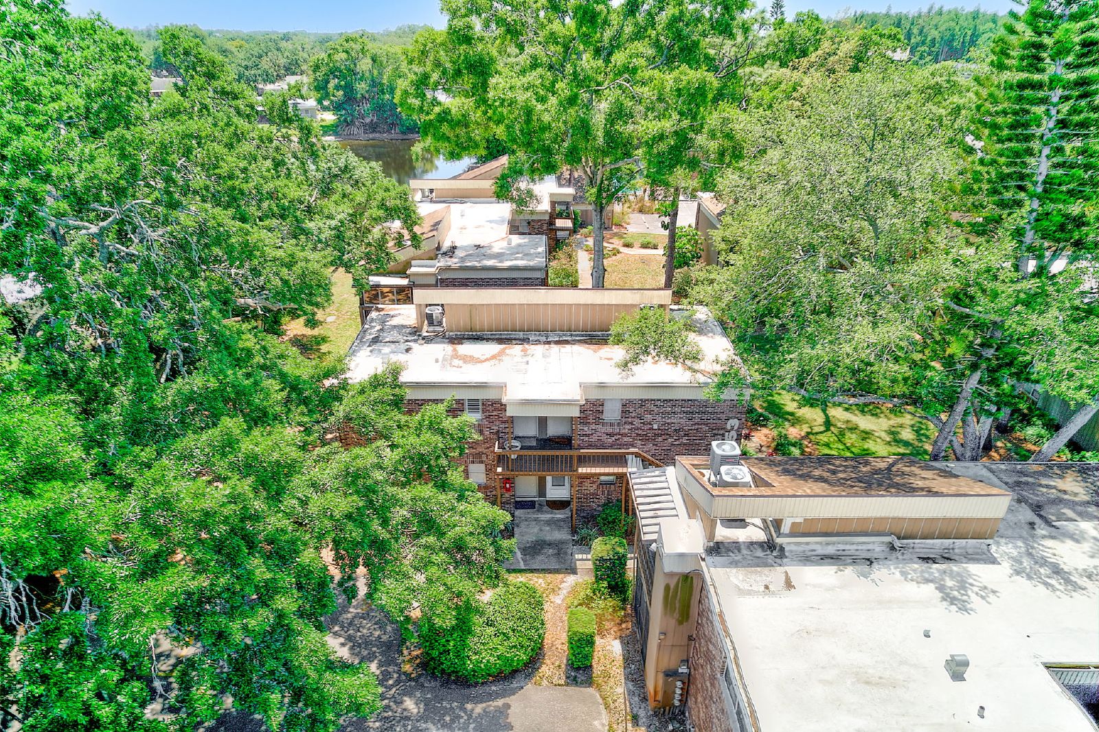 Cute Studio In The Heart Of Tampa! property image