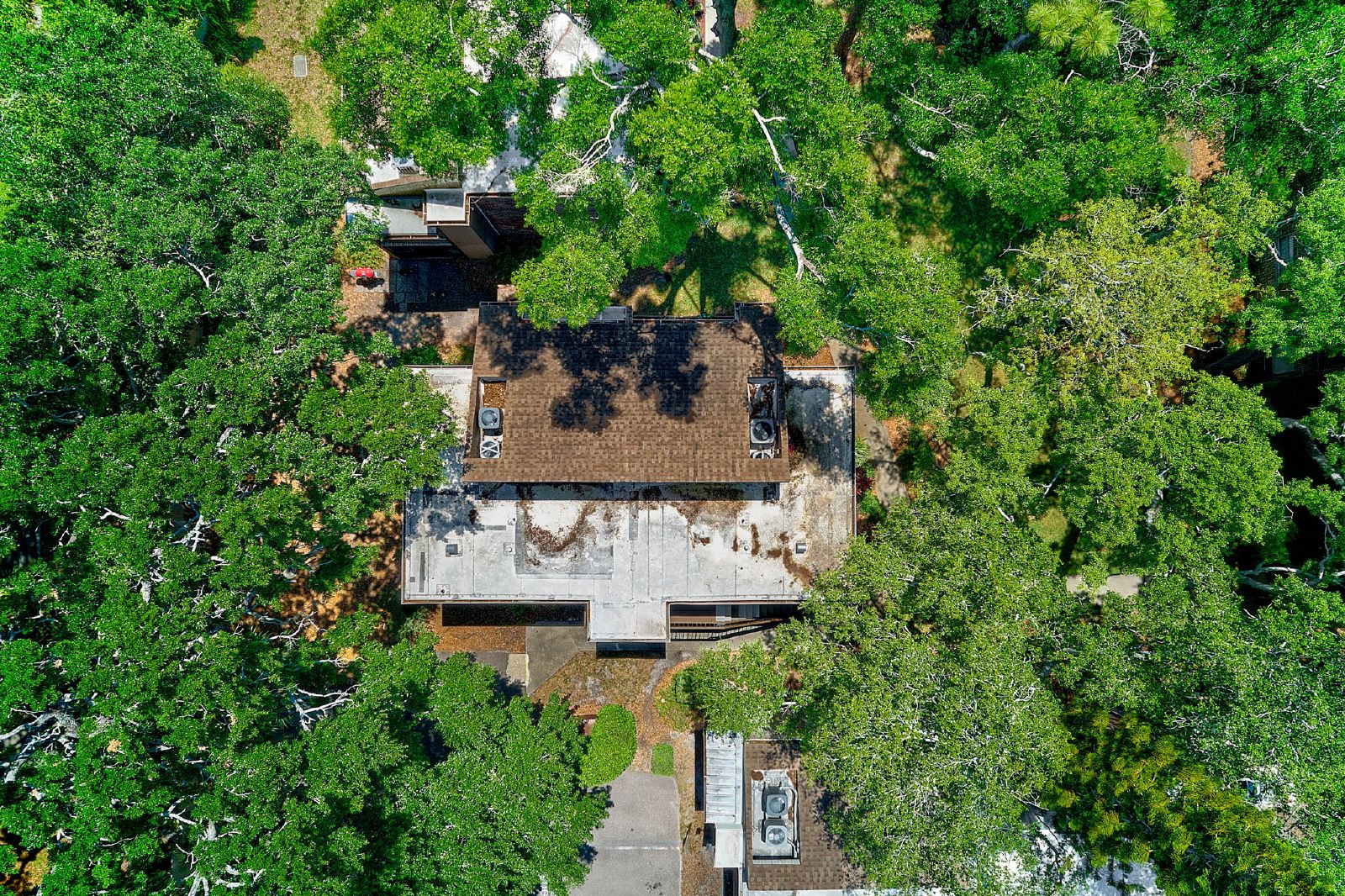 Cute Studio In The Heart Of Tampa! property image