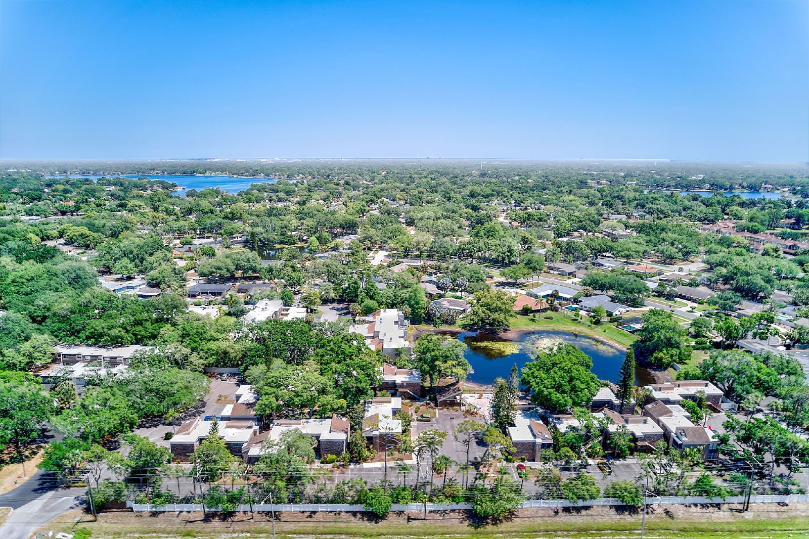 Cute Studio In The Heart Of Tampa! property image