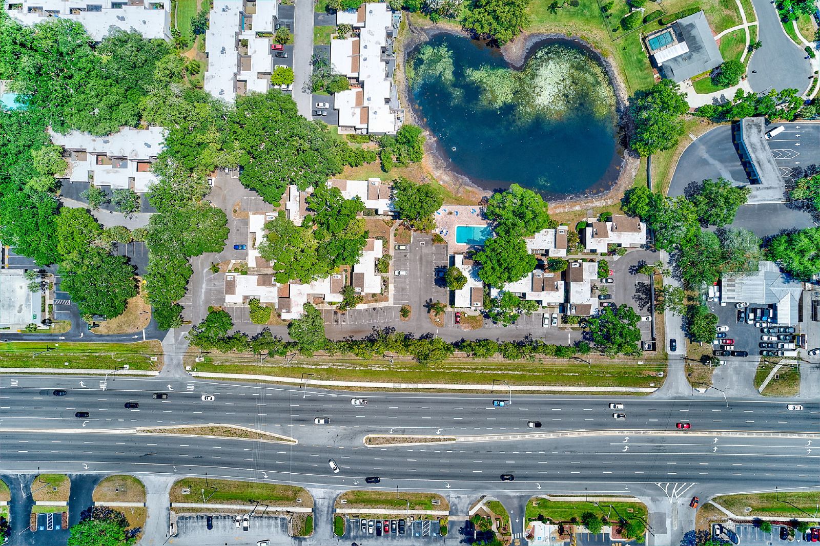 Cute Studio In The Heart Of Tampa! property image