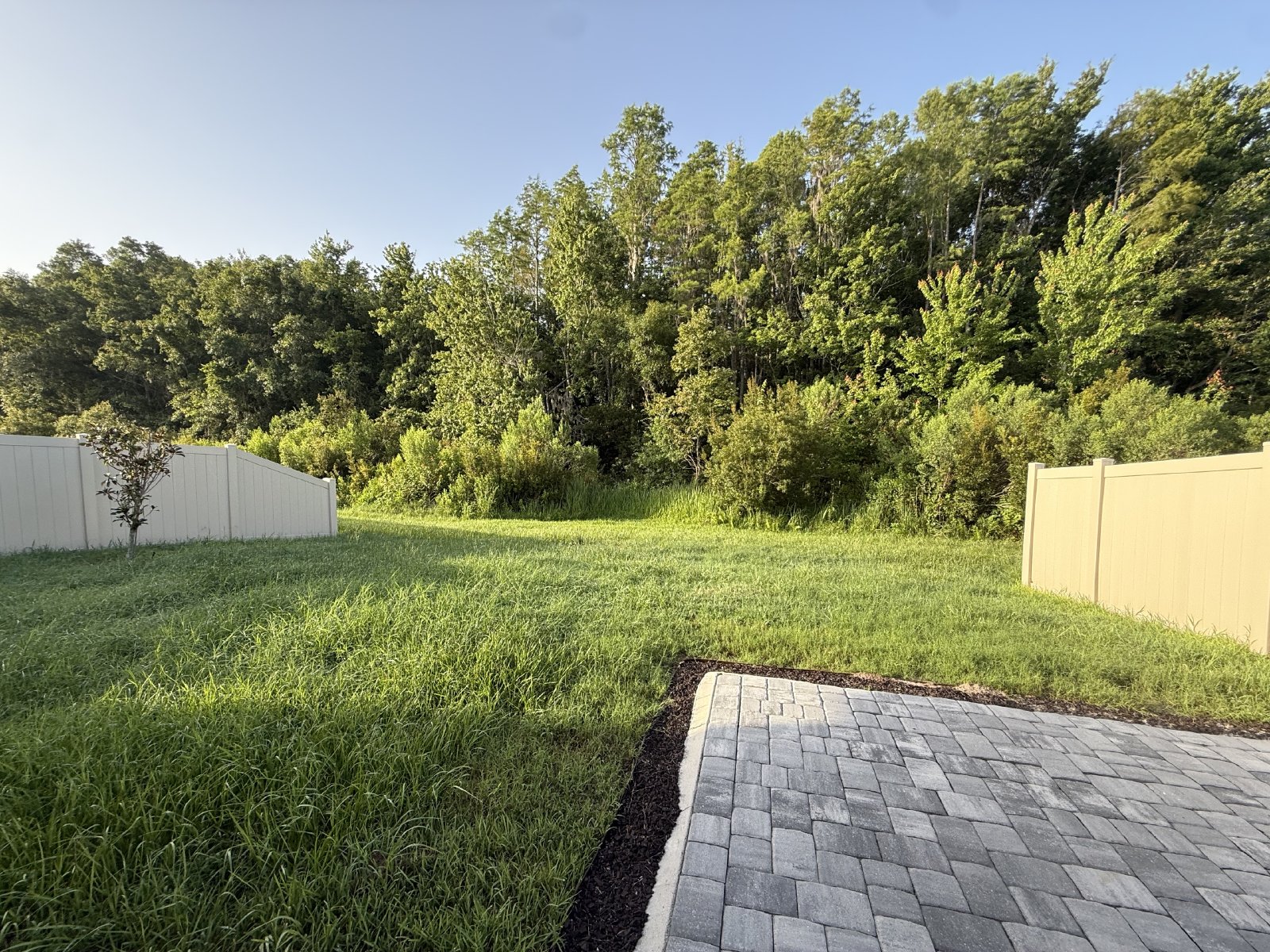 New Construction 4 Bed 2 Bath For Rent! property image