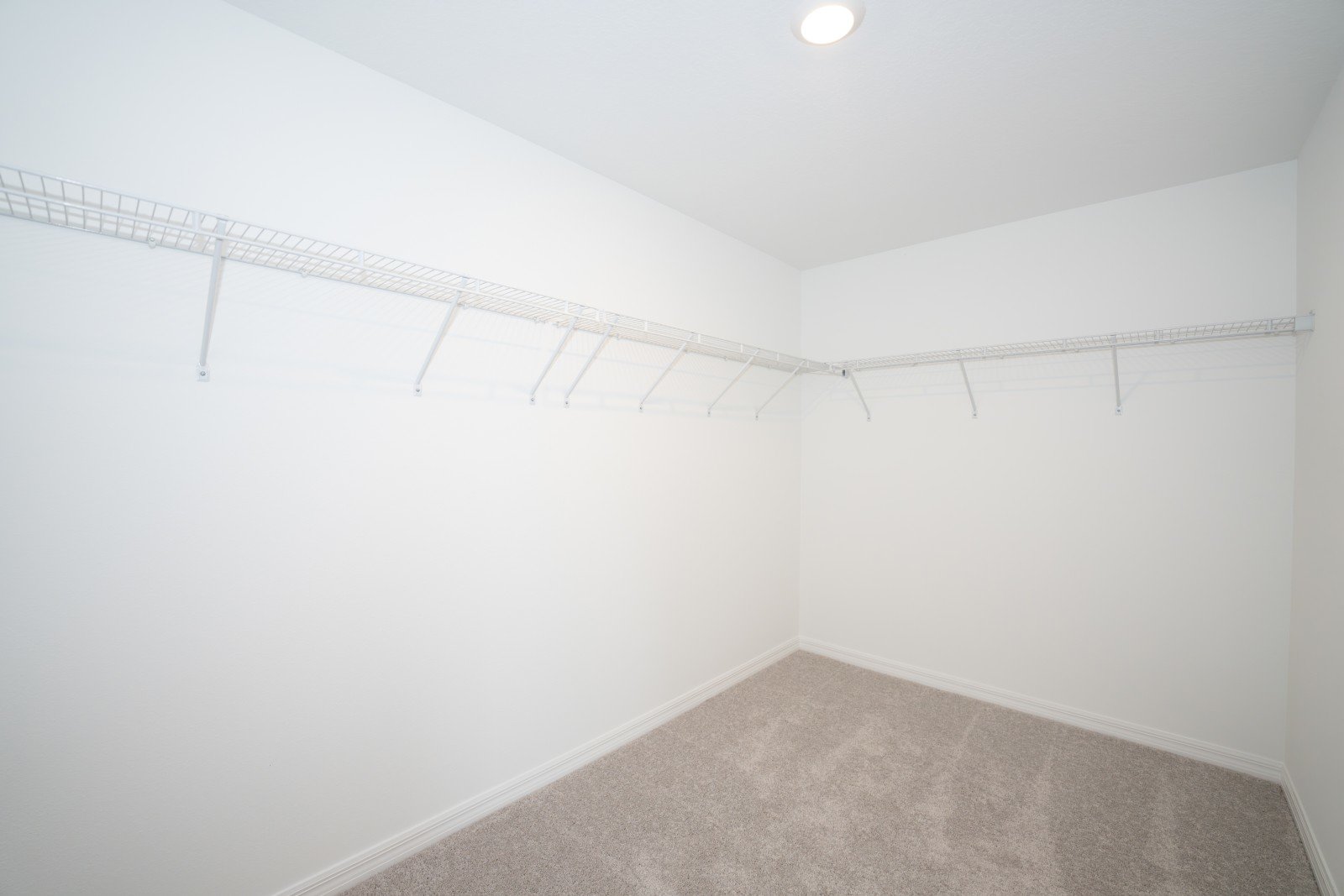 New Four Bed In Connerton property image
