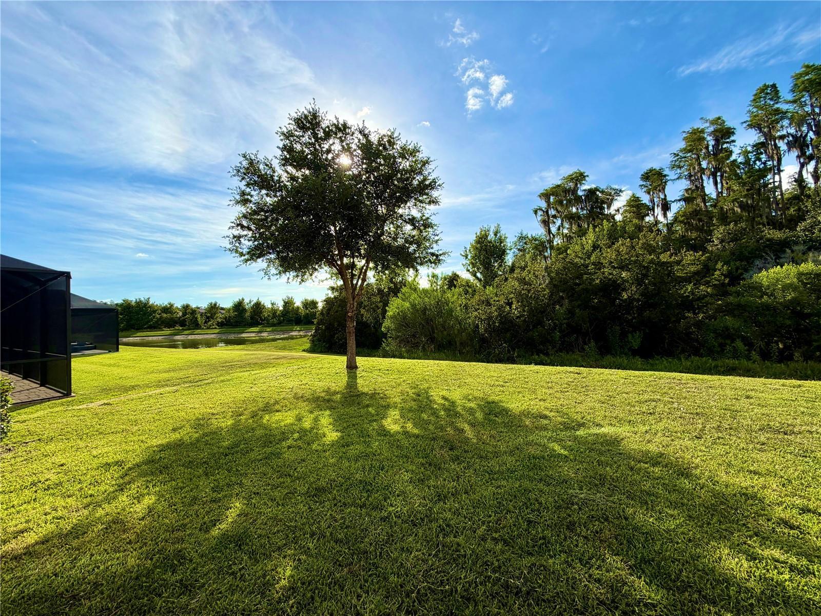 Stunning 5Bed 3Bath Home In New Tampa property image